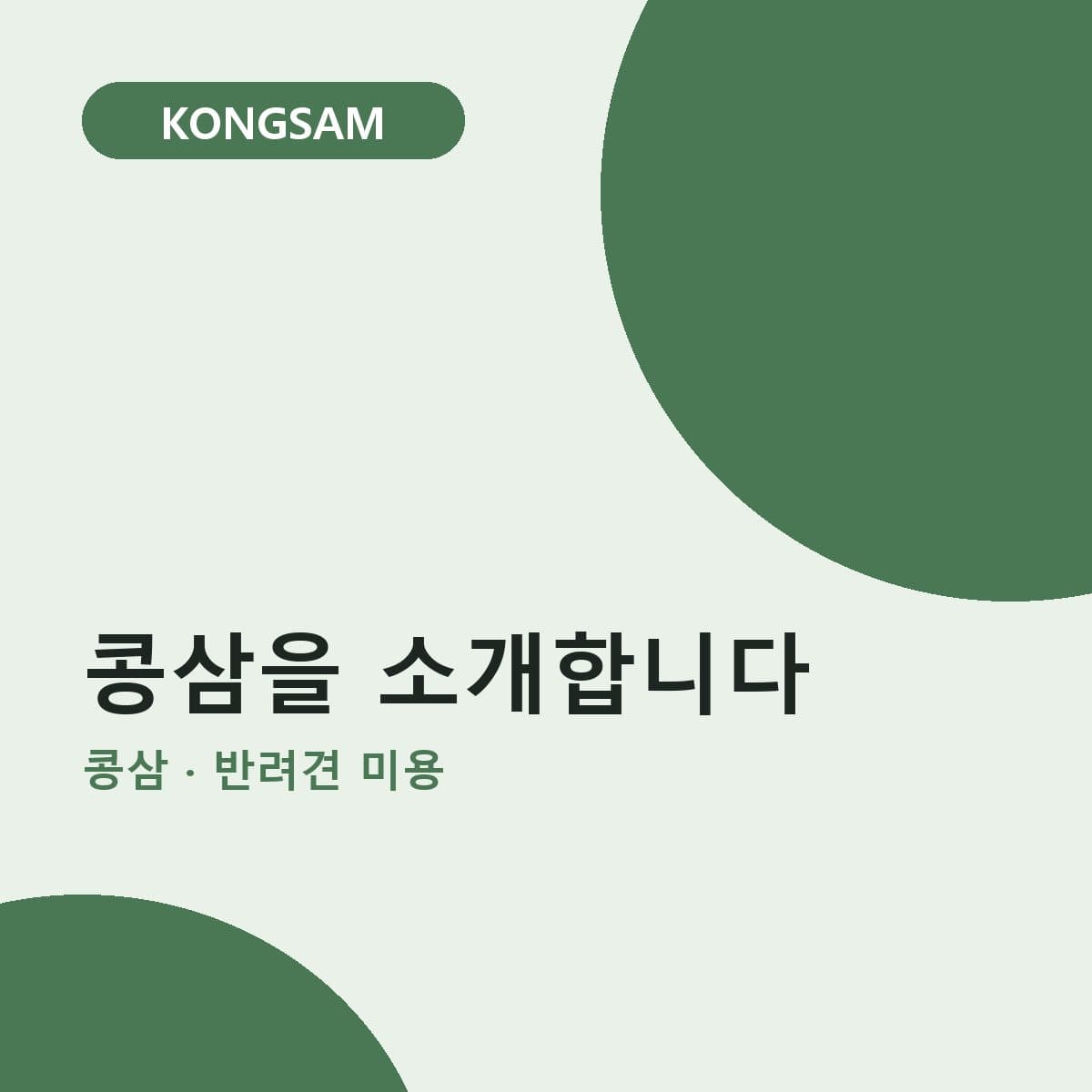 콩삼을 소개합니다